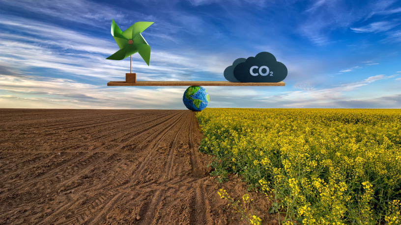 Crédito de carbono é o novo ativo verde do agronegócio, ressalta Aldo Vendramin.