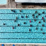 Vista aérea de pessoas nadando em raias de uma piscina pública.